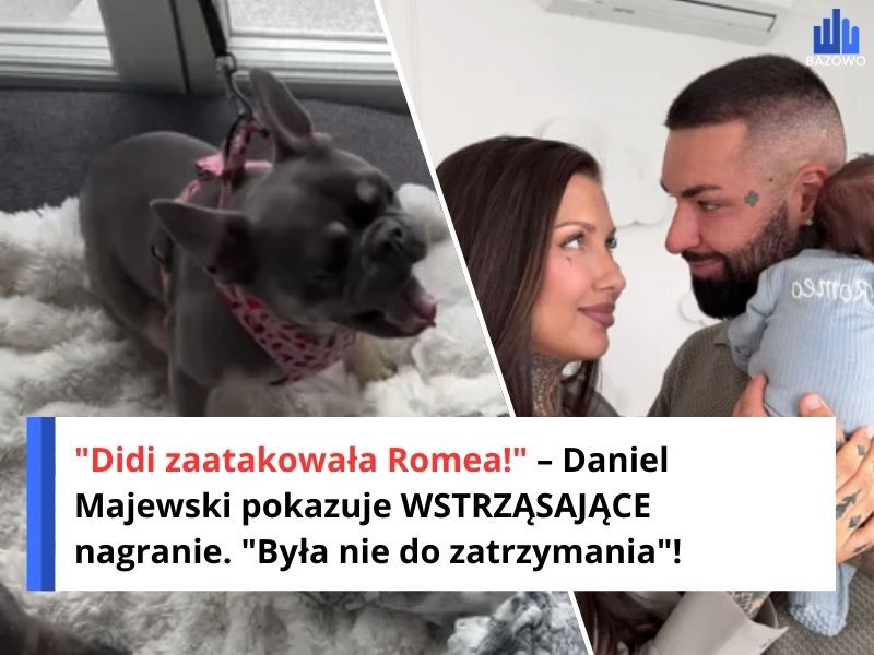"Didi zaatakowała Romea!" – Daniel Majewski pokazuje WSTRZĄSAJĄCE nagranie. "Była nie do zatrzymania"!